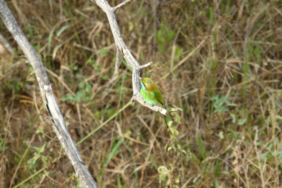 Sri Lanka 2 2014 - foto povečava