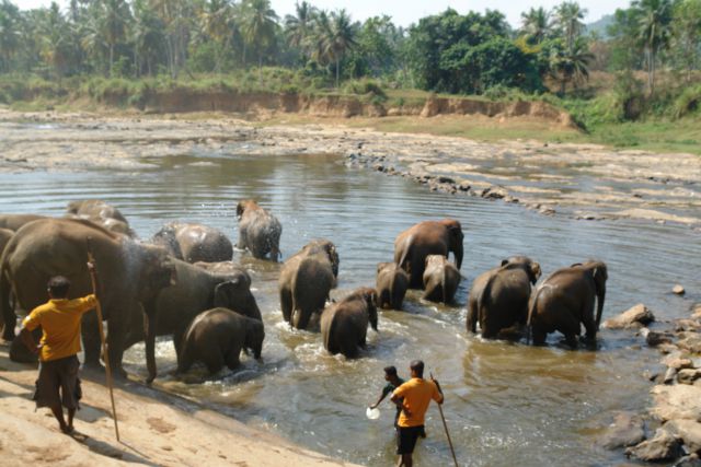 Sri Lanka 2 2014 - foto