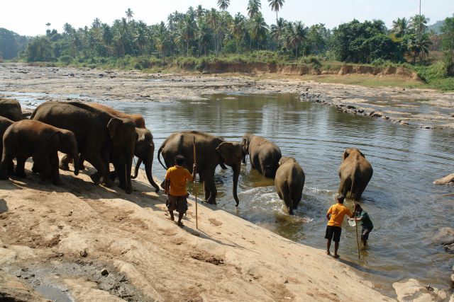 Sri Lanka 2 2014 - foto