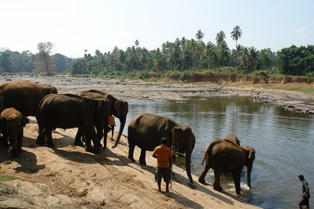 Sri Lanka 2 2014 - foto