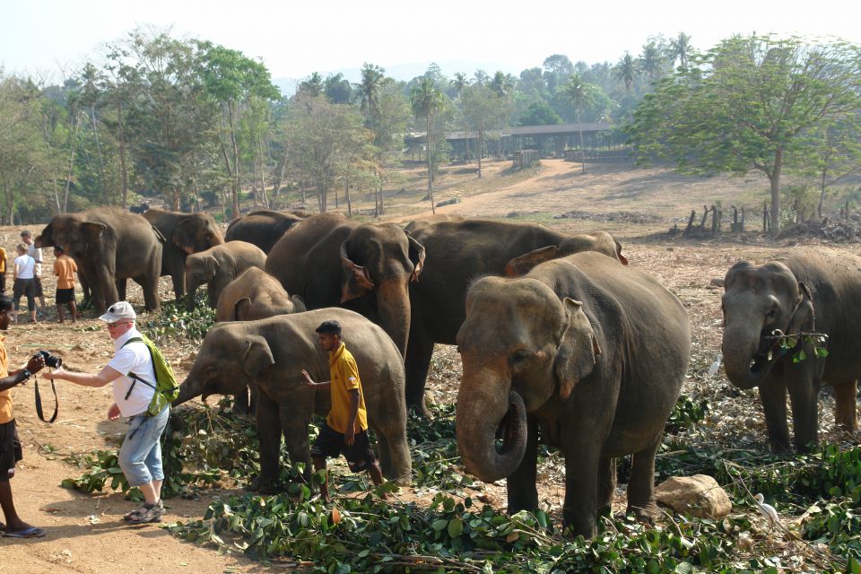 Sri Lanka 2 2014 - foto povečava