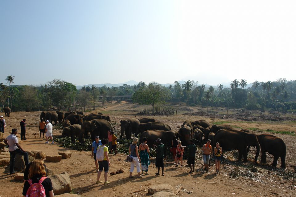 Sri Lanka 2 2014 - foto povečava