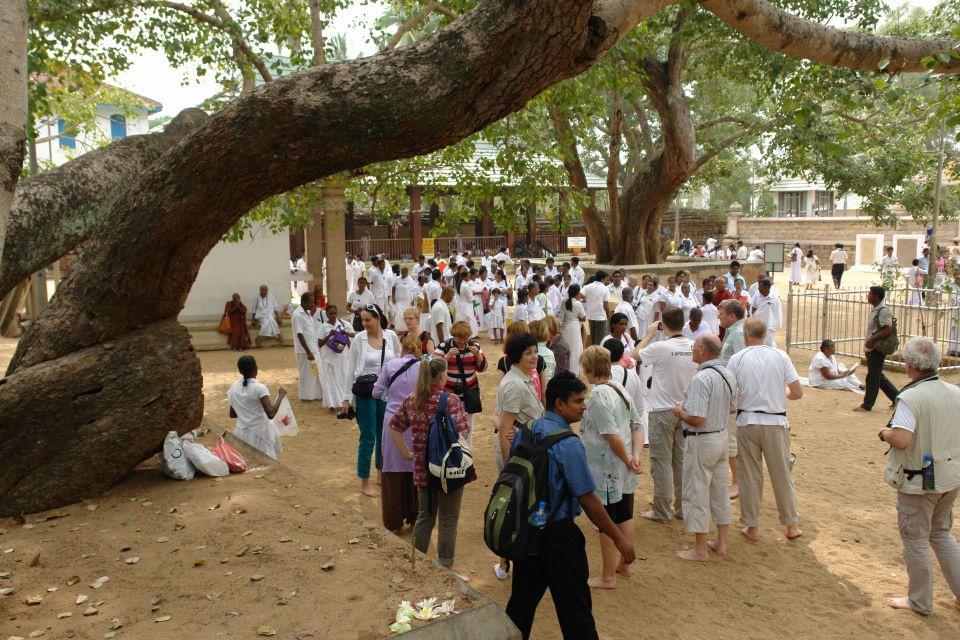Sri Lanka 2, 2 2014 - foto povečava