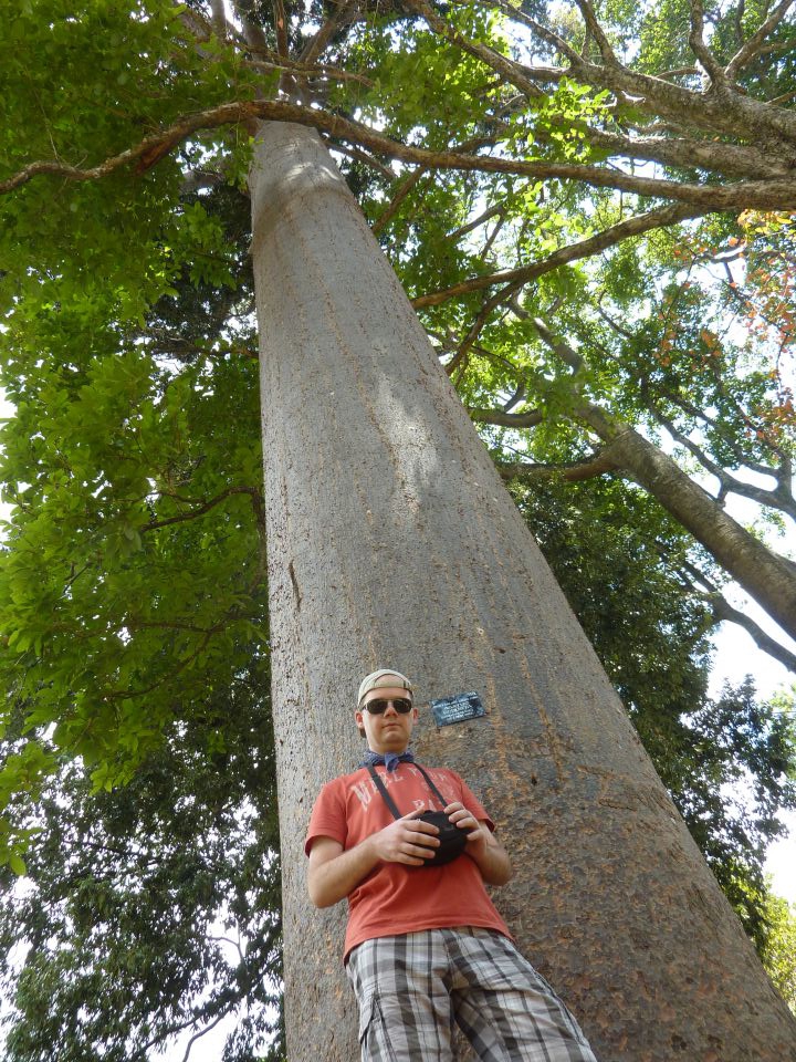 Sri Lanka 2, 2 2014 - foto povečava