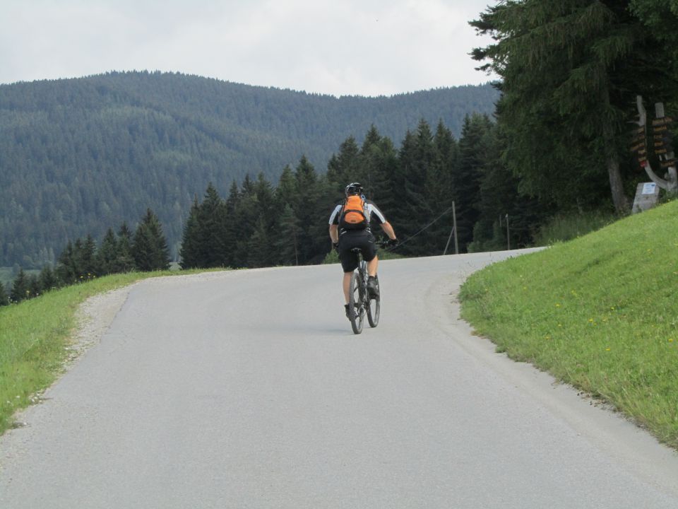 KOŠENJAK 05.7.2013 - foto povečava