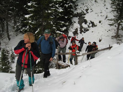 Dovška baba december 2009 - foto povečava