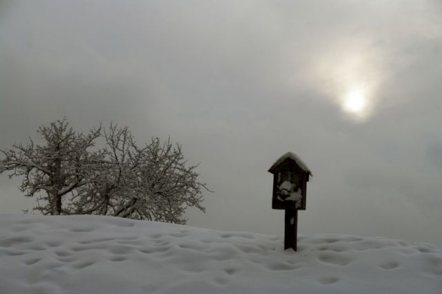 Primož - foto