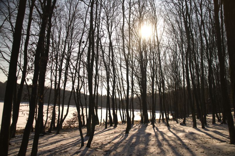 4. februar - foto povečava