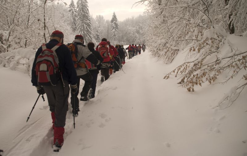 13. februar - foto povečava