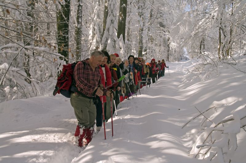 13. februar - foto povečava