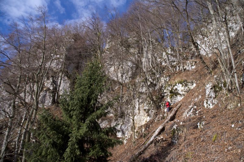 28. marec - foto povečava