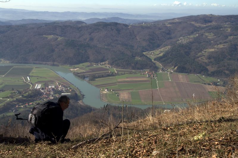 28. marec - foto povečava