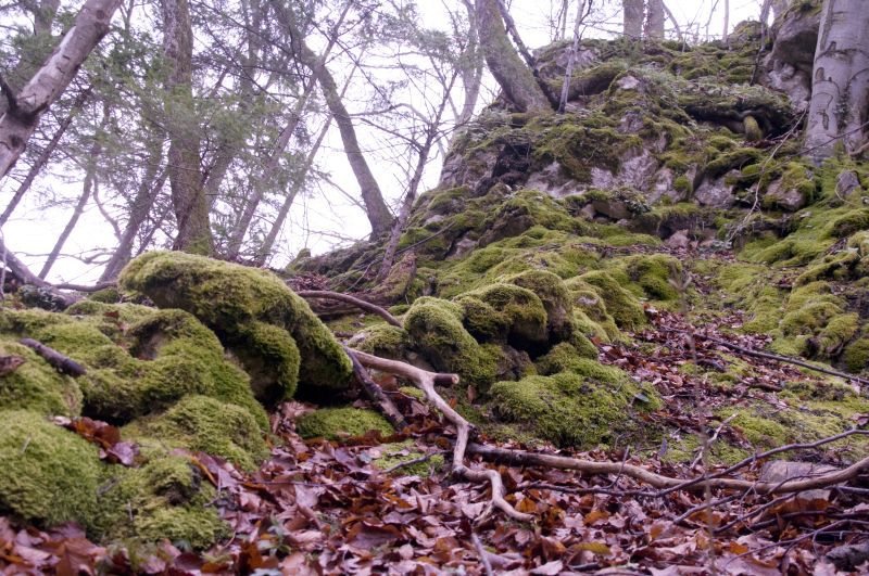 31. marec - foto povečava