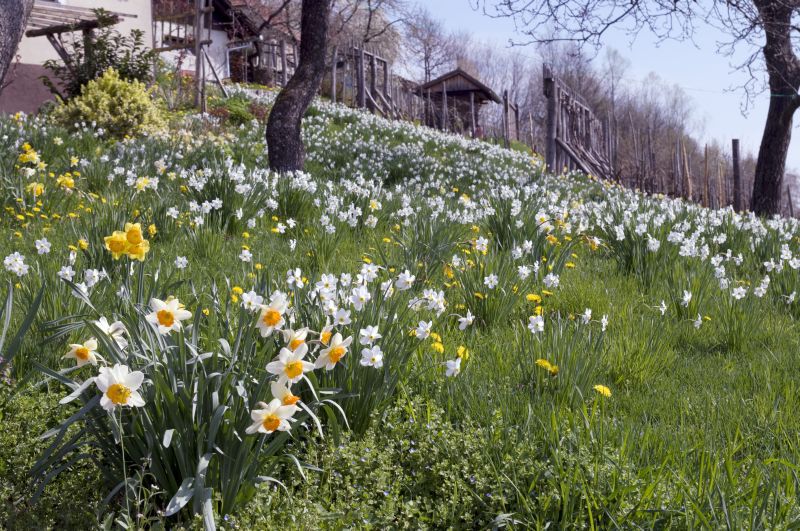 16. april - foto povečava