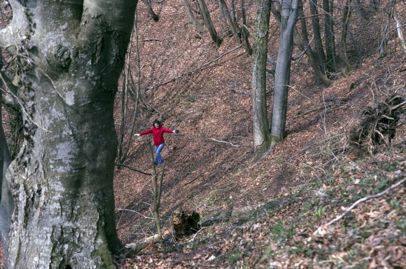 17. april - foto povečava