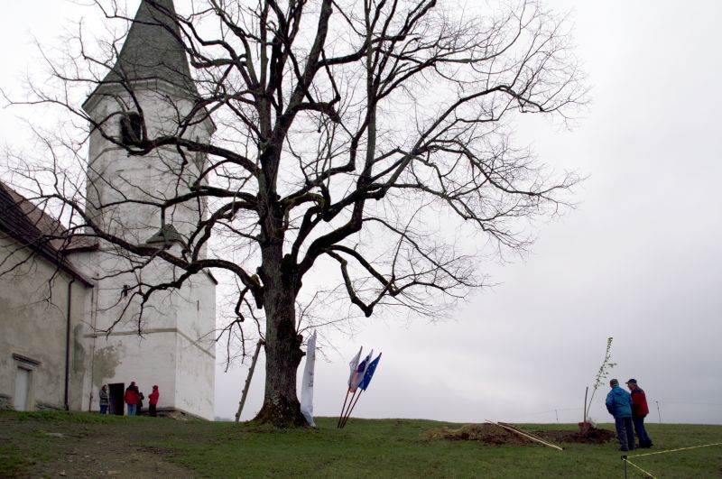 22. april - foto povečava