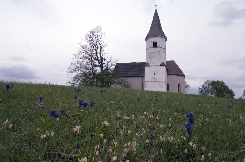 2. maj - foto povečava