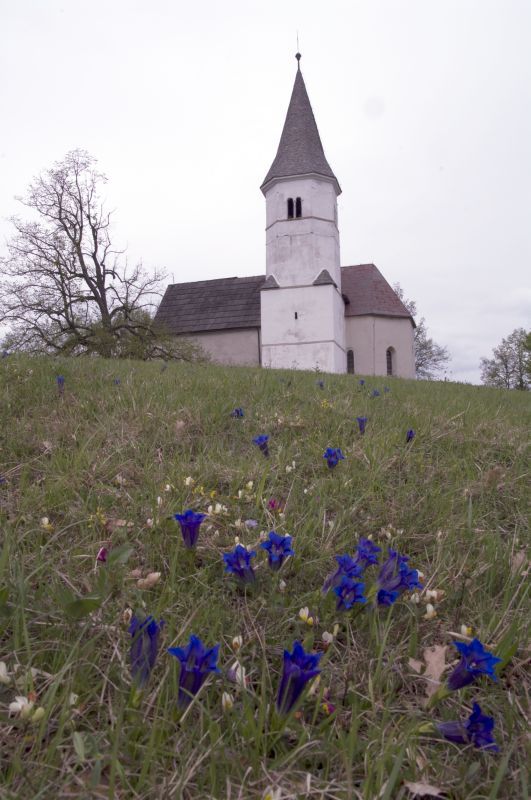 2. maj - foto povečava