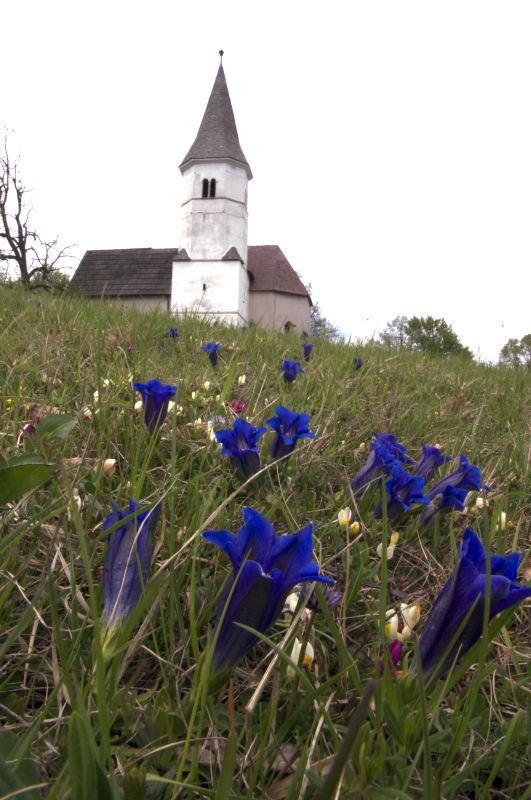 2. maj - foto povečava