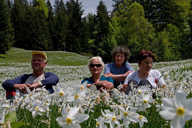 26. maj - foto povečava