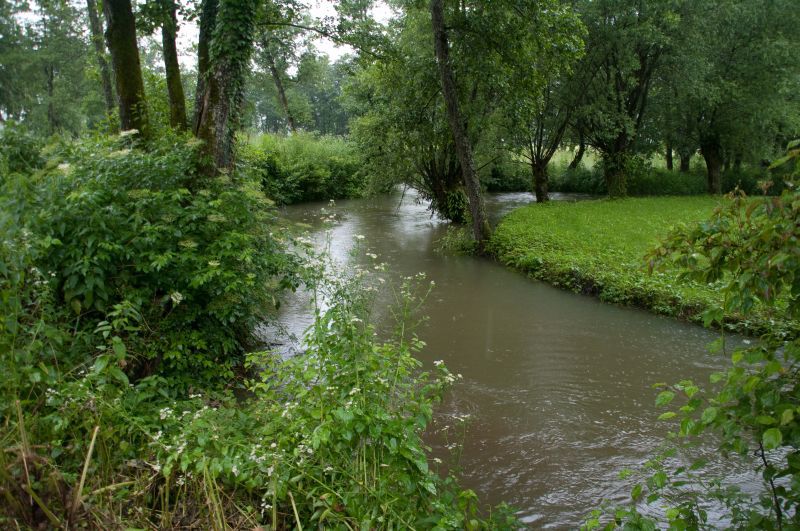 21 junij - foto povečava