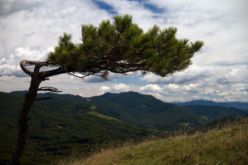 31. avgust - foto povečava