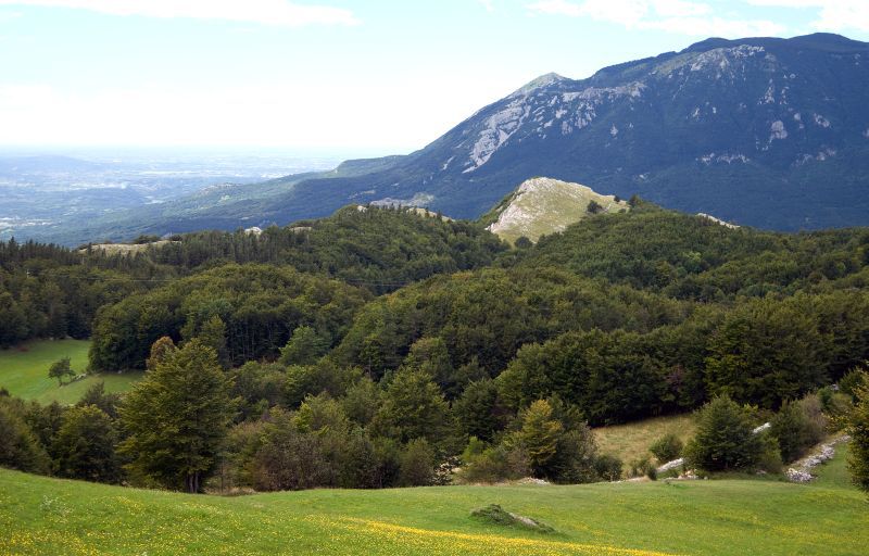 31. avgust - foto povečava