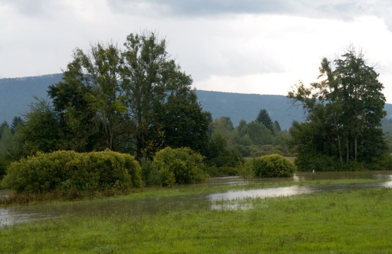 9. september - foto povečava