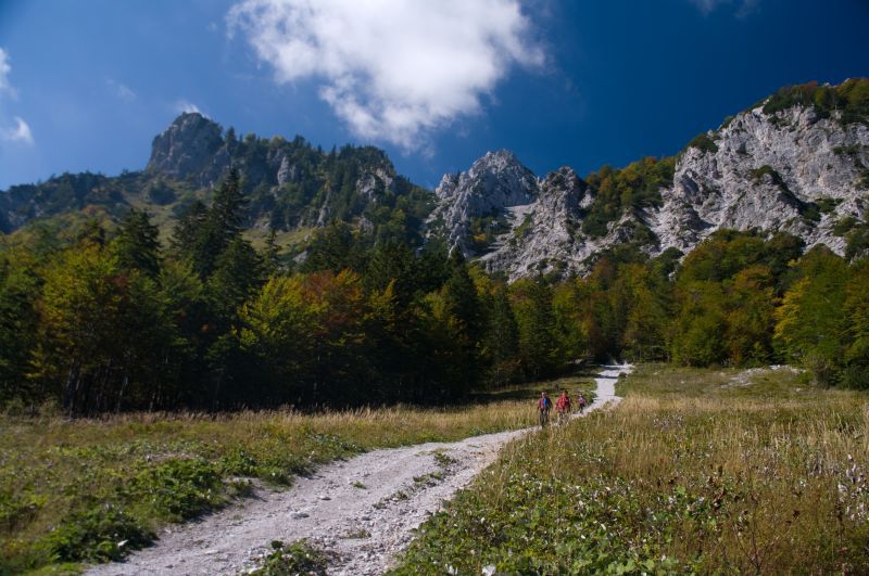 20. september - foto povečava