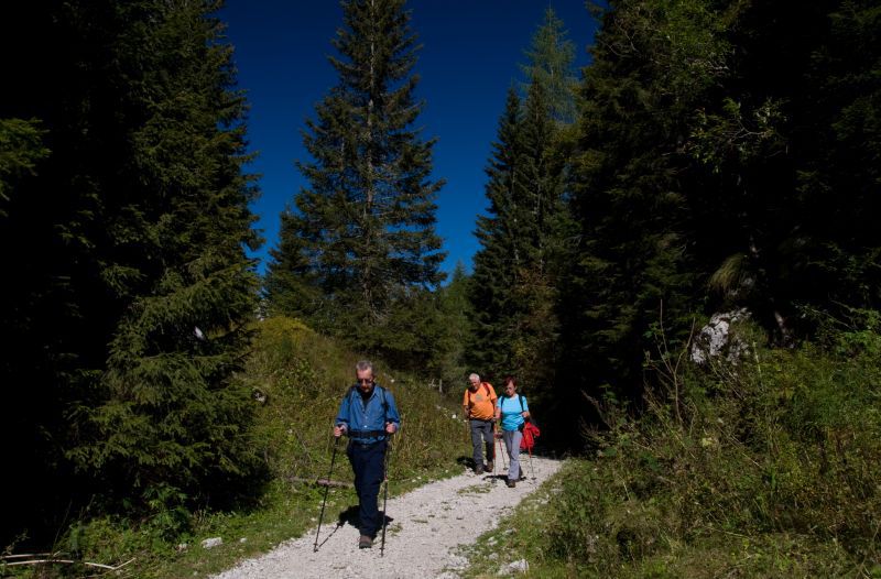 22,23 september - foto povečava