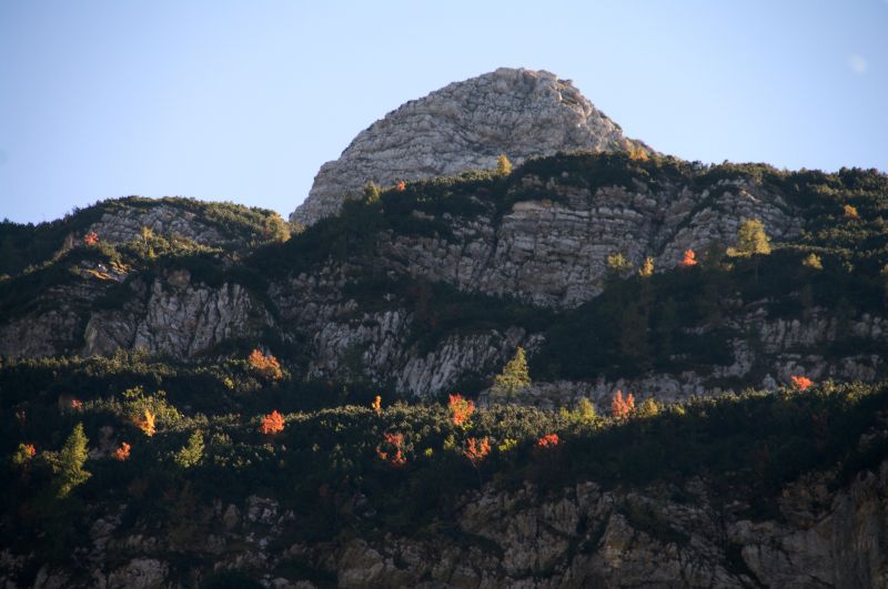 22,23 september - foto povečava