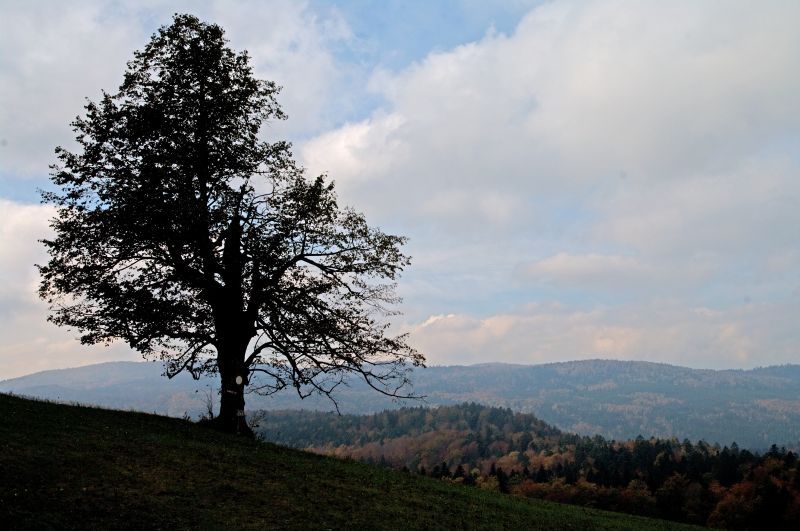 9. oktober - foto povečava