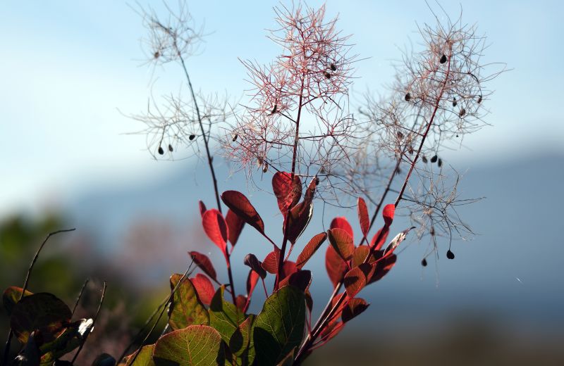 11. oktober - foto povečava