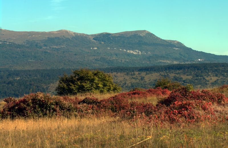 11. oktober - foto povečava