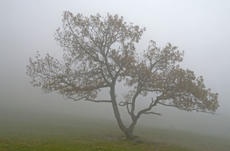 18. oktober - foto povečava