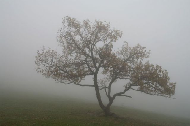18. oktober - foto