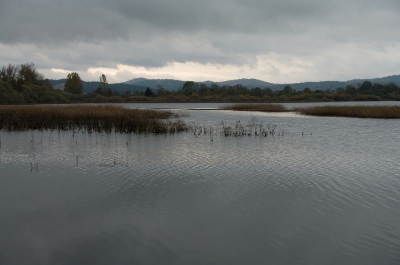 18. oktober - foto povečava