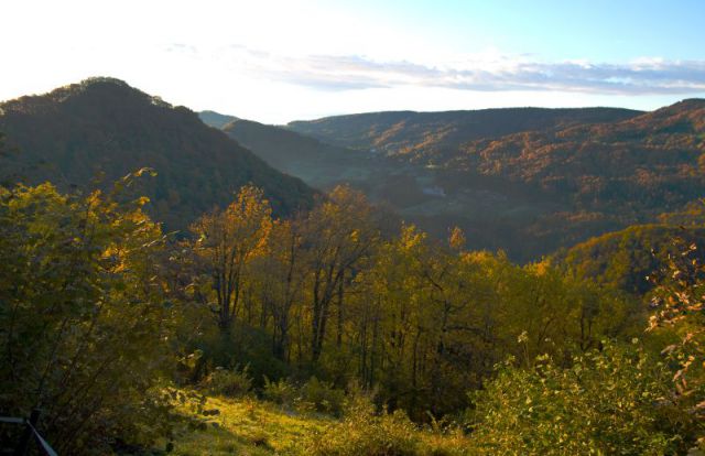 21. oktober - foto
