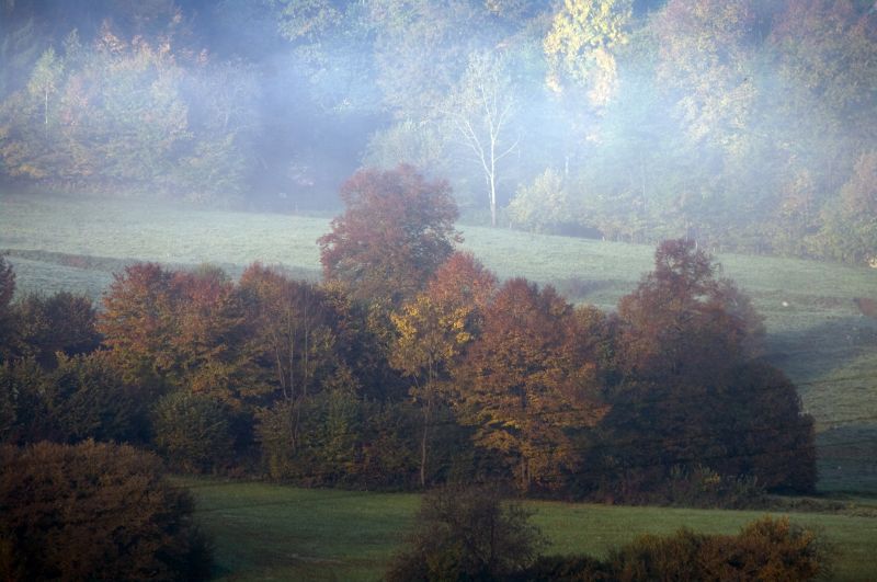 22. oktober - foto povečava