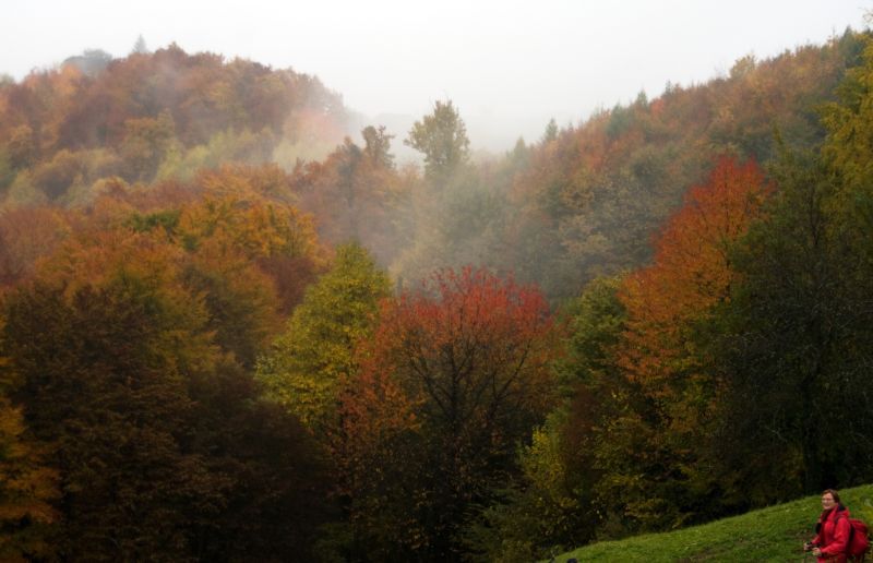 25. oktober - foto povečava