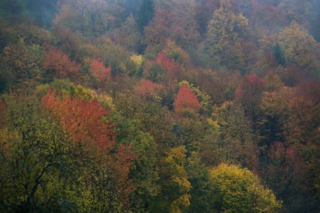 25. oktober - foto