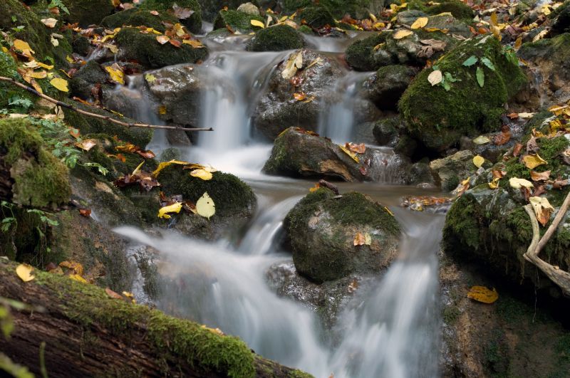 29. oktober - foto povečava