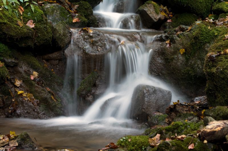 29. oktober - foto povečava