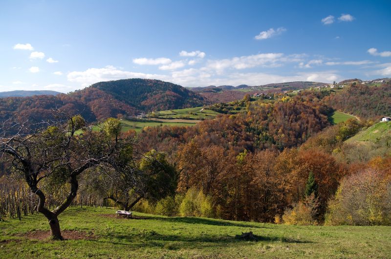 30. oktober - foto povečava