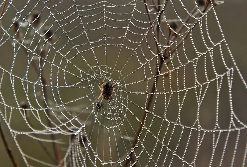 4. november - foto povečava