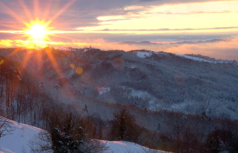 29. november - foto povečava