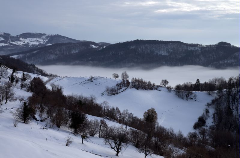 2. december - foto povečava