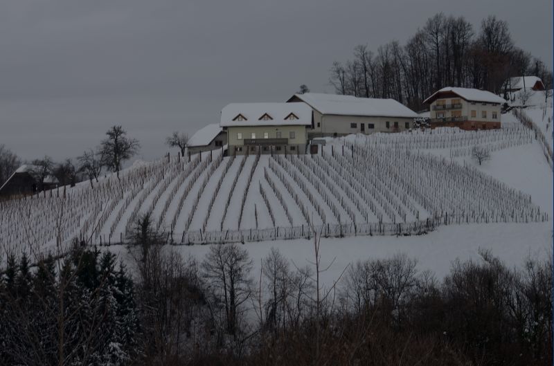 6. december - foto povečava