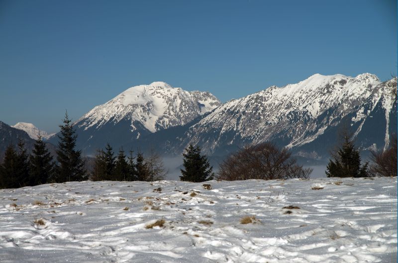 31. januar - foto povečava