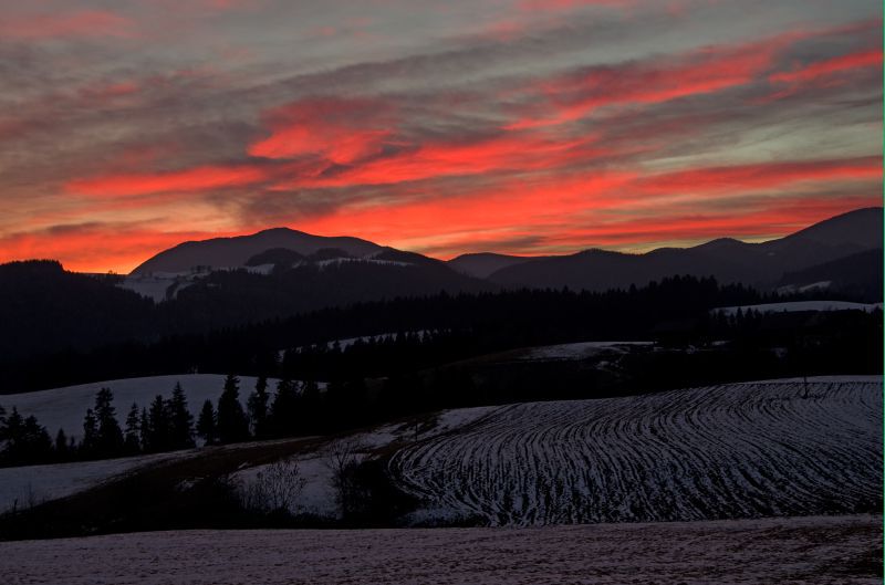 4. februar 11 - foto povečava